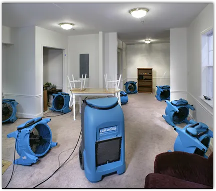 Water Damage Assessment in Patterson, LA
