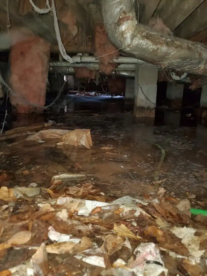 Crawl space flood assessment for Leak Detection & Repair in Patterson